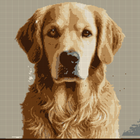hond.png