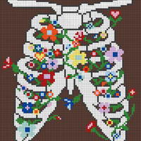 IMG_0405.PNG