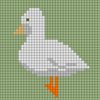 Copy of Copy of canard-mignon-blanc-canard-cane-de-race-vente-elevage.jpg