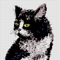 instant-20190203234028312-000.jpg
