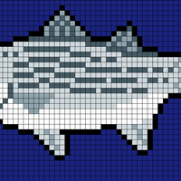 Copy of striped-bass.png