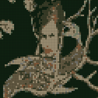 IMG_5121.jpeg