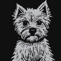 Oscar.png
