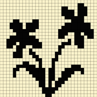 Copy of 9E98EFF6-679A-45F9-9681-CFDF286511E7.png
