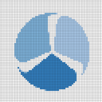 Enstrom Emblem