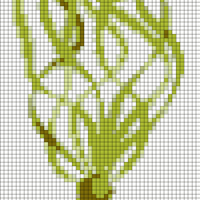 Bull_Kelp2.jpg