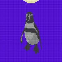 pinguin sweater