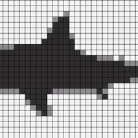 shark.jpg