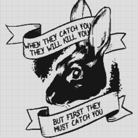 bunny-500x504.jpg