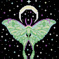 Moth