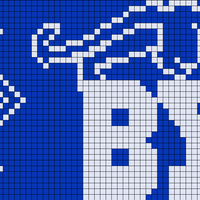 Copy of 40x60best cougar.png