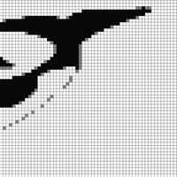 newback half whale.jpg