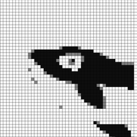 newfront half whale.jpg