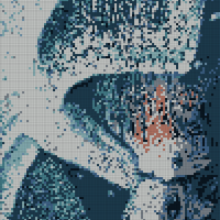 IMG_8215.jpeg