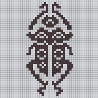 beetle.jpg