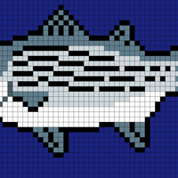striped-bass.png