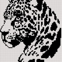 jaguar.jpg
