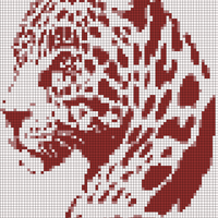 jaguar.jpg