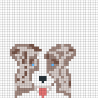 Australian shepherd