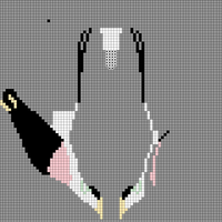 Eider - neckline