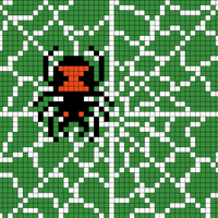 Copy of Spider and Web