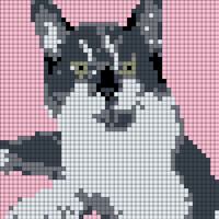 43986ABB-5BC4-46E7-B0E2-C8B974C1A24B.png