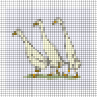 duckies.jpg