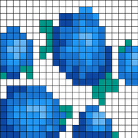 Hydrangea