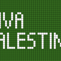 VIVA PALESTINE in Belfast