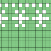 Foot chart