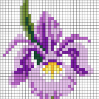 Iris Adaptation