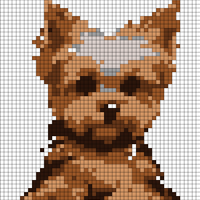 Copy of Yorkie