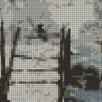 magpie.webp