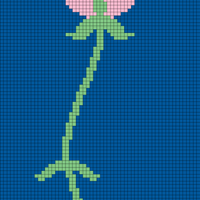 Fun flower