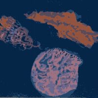 A511C5F6-959D-4A0C-B445-82E89BC7A4C7.jpeg