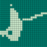 seagull