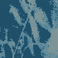 9C26CDBB-BB49-49EE-BF71-C49FE73EF770.jpeg