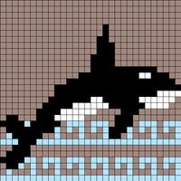 orca