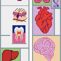 organ sweater