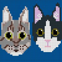 My cats