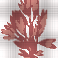 palmaria-delicious-fresh-red-seaweed-260nw-1597094737.webp