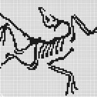 IMG_4061.jpeg