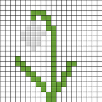 snowdrop