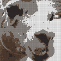 DSCN3393.JPG