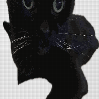 Moonlight.jpg