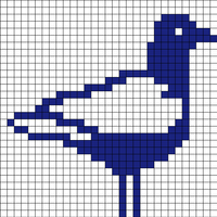 Copy of Seagull