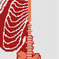 ribcage+spine