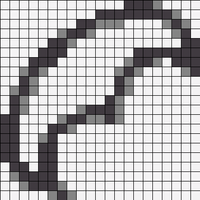 lunula-1.webp