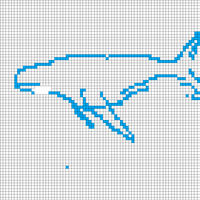 Whale