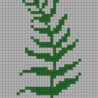 Copy of Copy of Fern Design